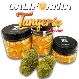 7leaves, vente en ligne de Fleurs CBD California Tangerin Dream Indoor 7Leaves 2g-5g-10g