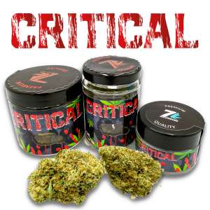 7leaves, vente en ligne de Fleurs CBD Critical Indoor 7Leaves 2g-5g-10g