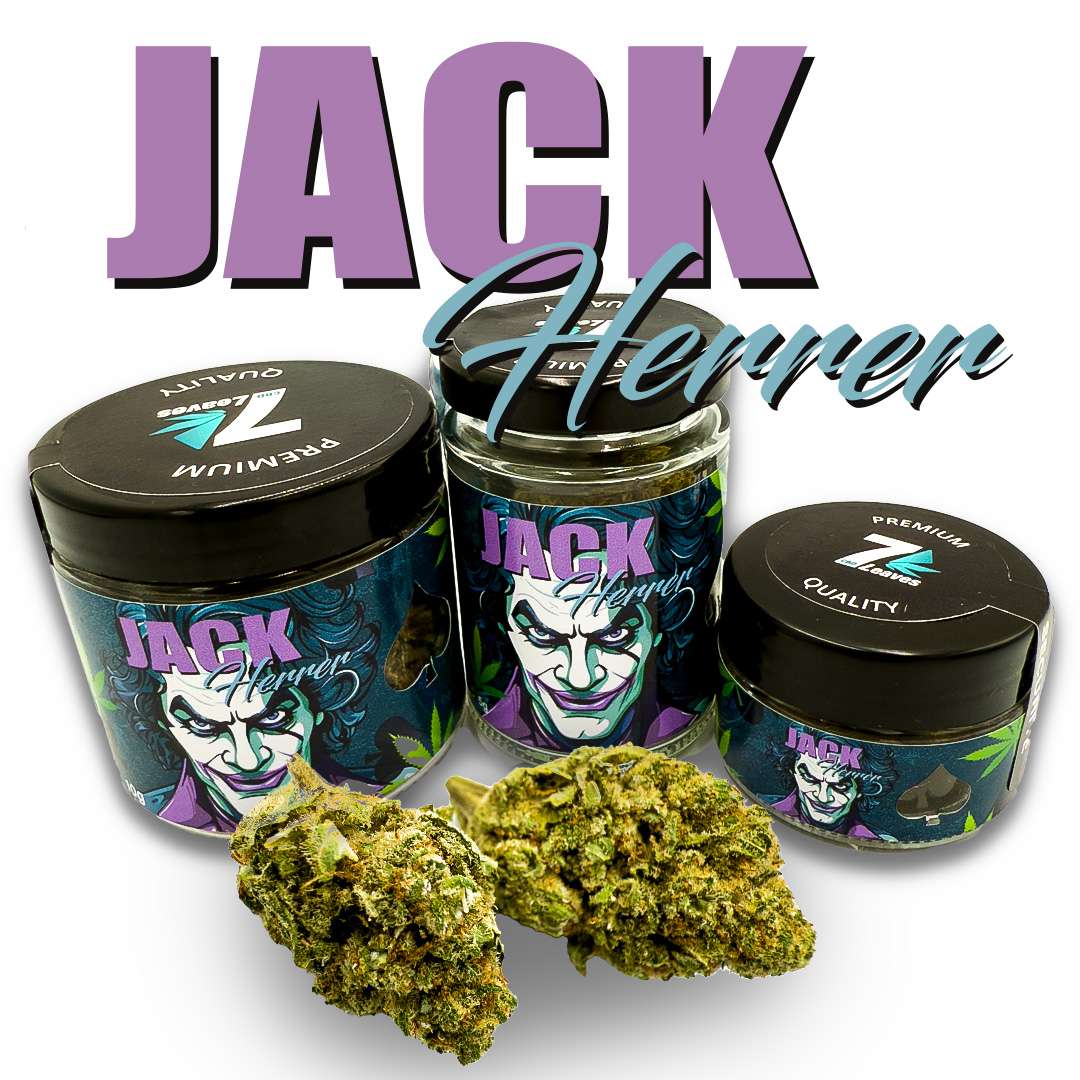 Fleurs CBD Jack Herrer Indoor 7Leaves 2g-5g-10g