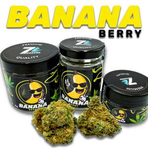 7leaves, vente en ligne de Fleurs CBD Banana Berry 7Leaves 2g-5g-10g