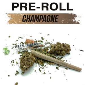 7leaves, vente en ligne de Pré roll Champagne 7Leaves 1g