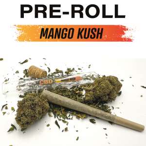 7leaves, vente en ligne de Pré roll Mango Kush 7Leaves 1g