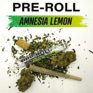 7leaves, vente en ligne de Pré roll Amnesia Lemon 7Leaves 1g